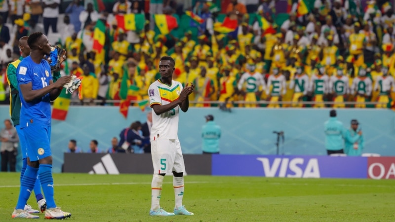 Le Sénégal s'incline face au Pays-Bas (0-2)