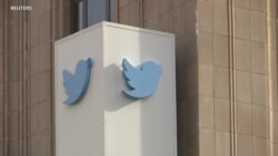 Твитер и човековите права