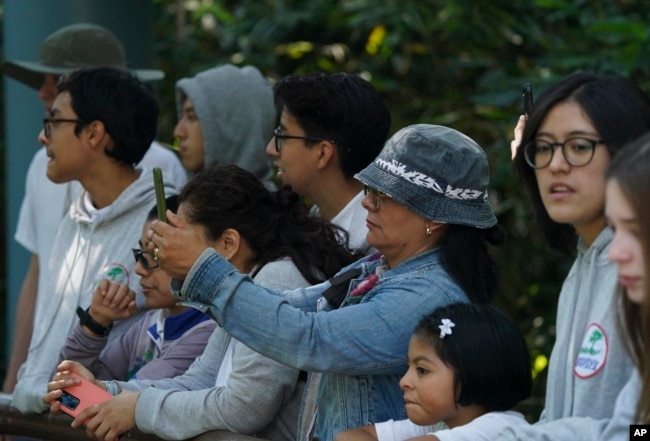 Visitors take photos of Xin Xin, a 32-year-old Mexican-born giant panda, at the Chapultepec Zoo in Mexico City, Friday, Nov. 11, 2022. (AP Photo/Fernando Llano)