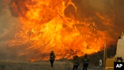 Kobaran api dalam kebakaran hutan di Ngarai Placerita di Santa Clarita, California (25/7). (AP/Nick Ut)