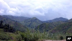 Les terres fertiles du Masisi, riches en coltan, dans le Nord Kivu, RDC 