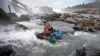 Tribal fisherman work their way through the water after catching Lamprey near the Willamette Falls, Friday, June 17, 2016, south of Portland, Ore. Lampreys, an ancient food source for Pacific Northwest tribes, have drastically declined in recent decades. (AP Photo/Rick Bowmer)