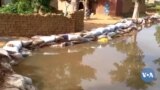 🇲🇱sanjiba donna tégni dugu kɔnɔ min ni koro cɛ ye bam 30 ye