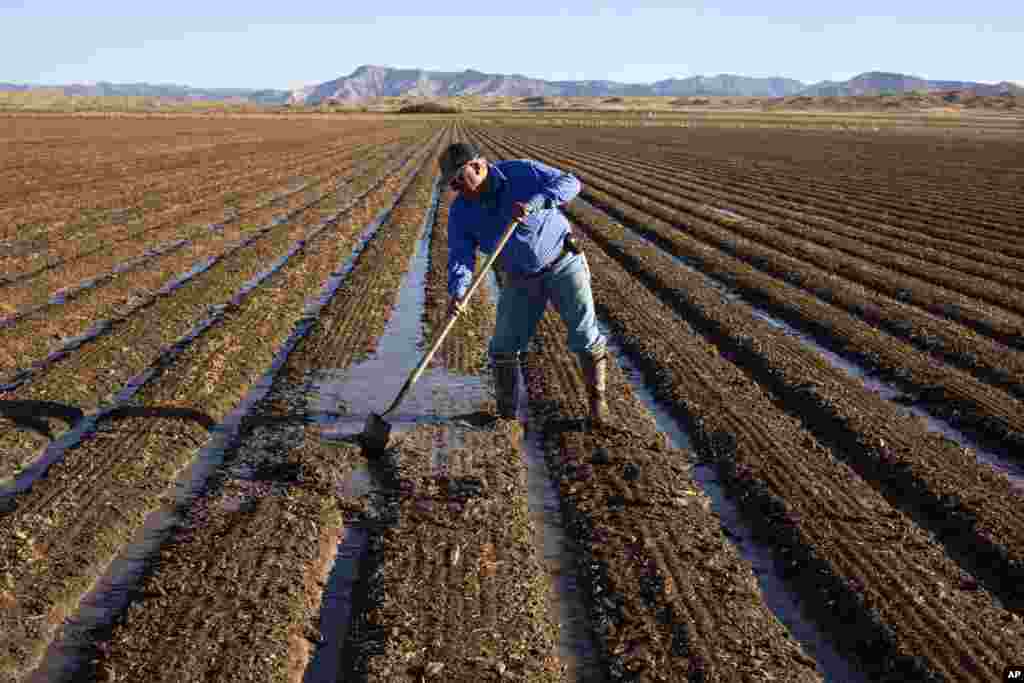 Joe Bernal works on his family's farm, Sept. 1, 2022, in Fruita, Colo. In November 1922, seven land-owning white men brokered a deal to allocate water from the Colorado River, which winds through the West and ends in Mexico. 