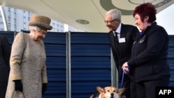 Britain's Queen Elizabeth II, left, looks at a Corgi dog as British television presenter Paul O'Grady, second right, looks on during a visit to Battersea Dogs and Cats Home in London on March 17, 2015.