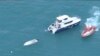 5 Dead in New Zealand After Boat Flips in Possible Whale Collision