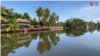 EL SALVADOR MANGROVES thumnail