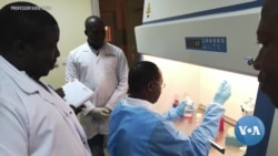 ‘World-Changing’ Malaria Vaccine Could Eradicate Disease 