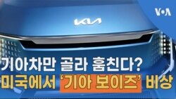 기아차만 골라 훔친다? 미국에서 ‘기아 보이즈’ 비상