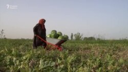 Erkaklari Rossiyaga ketgan tojik qishlog’i