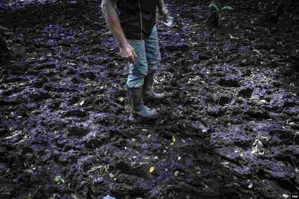 Un migrante nicaragüense llega a Costa Rica usando aún su moneda nacional, el córdoba, para pagar alimentos y a los llamados &quot;coyotes&quot;. [Oscar Navarrete: La Prensa- VOA]