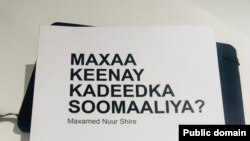 Maxaa keenay kadeedka Soomaaliya?