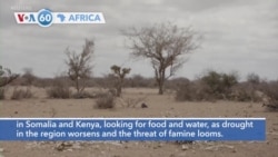 VOA60 Africa - IRC: Nearly one million people fled their homes in Somalia and Kenya, looking for food and water