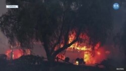 California’da Orman Yangınlarında Can Kaybı 