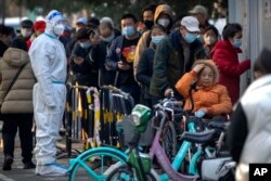 北京居民2022年11月17日冒著刺骨寒風在一個檢測站外排長隊等候新冠核酸檢測。
