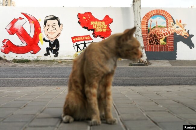 上海街头的习近平宣传画前站着一只猫。（2018年9月28日）