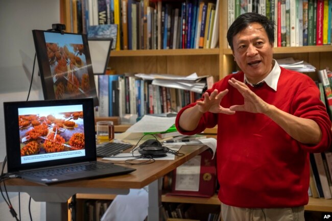 Architect Yu Kongjian speaks during an interview at his firm's office in Beijing, Friday, Oct. 21, 2022. Kongjian works to counter a concrete-based infrastructure that he says works against nature – trapping water within the city during floods, siphoning it away during droughts. (AP Photo/Mark Schiefelbein)