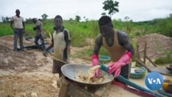 Gold Rush in Ivory Coast Brings Money, Illegal Mining