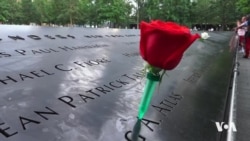 Di Hişa New Yorkîyan de Êrîşên 11'ê Îlonê Hîn Zindî Ne