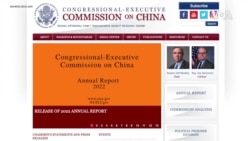 美國會委員會發布2022年中國人權與法治報告