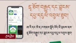 རྒྱལ་དོན་མ་དངུལ་དྲྭ་ལམ་ནས་བསྡུ་འབུལ།