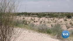 Heavy Rain Transforms Arid Landscape