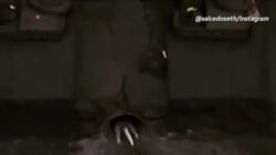 Крысиный бой