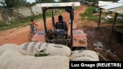 FILE: Bags of cocoa in the Ivorian cocoa farming village of Djigbadji, Ivory Coast. Taken 1.7.2021