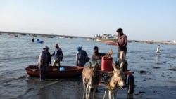 Fishermen take out their catch from the sea at the end of the day in Gwadar, Pakistan October 4, 2017. (Reuters/Drazen Jorgic)