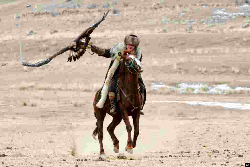 키르기스스탄 비슈케크에서 솔부룬 사냥 축제가 열렸다.