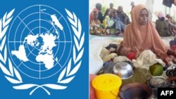 სომალის მთავრობა ალ-შაბაბის გადაწყვეტილებას გმობს