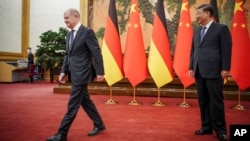 中国国家主席习近平在北京人大会堂会晤到访的德国总理朔尔茨。（2022年11月4日）