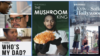 VOA Summer 2022 Pitch Contest Winners
