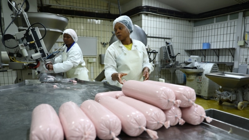 In Meat-Loving South Africa, Climate Concerns Whet Appetite for Veggie Burgers