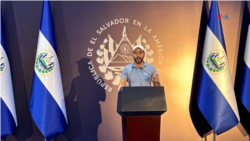 El electorado salvadoreño eligió nuevamente Nayib Bukele como su presidente, de acuerdo con los resultados preliminares
