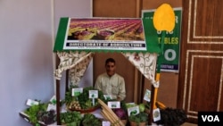 Farooq Ahmad Gannie displaying non-traditional vegetables at a buyer-and-seller fair, Rajbagh area of Srinagr. Event organized by the Jammu and Kashmir Government.(Wasim Nabi/VOA) 