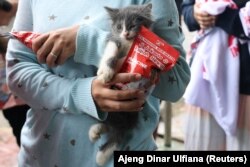 Seorang warga membawa kucing dan kantong makanan kucing saat Francine Widjojo, calon anggota DPRD dari PSI, berkampanye di Jakarta, 28 Januari 2024. (Foto: REUTERS/Ajeng Dinar Ulfiana)