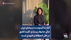 الناز شاکردوست: سینمای ایران مثل محیط زیست و کلیت کشور در حال انحطاط و نابودی است 