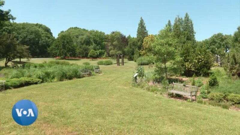 L'arboretum, le plus grand jardin scientifique des Etats-Unis