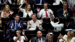 Argentina: Diputados aprueban en general paquete de reformas de Milei