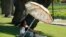 People enjoy refreshments under the shade at the Echo Park Lake in Los Angeles, July 5, 2023.