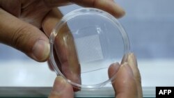 A person displays a microneedle patch by the Win Coat Corporation at the 2018 Future Tech Expo in Taipei, Dec. 13, 2018.