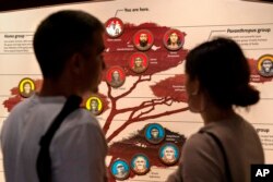 People visit the exhibits inside the Smithsonian Hall of Human Origins, July 20, 2023, at the Smithsonian Museum of Natural History in Washington.