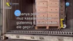 İspanya polisi muz kasalarına gizlenmiş 6,5 ton kokain ele geçirdi 
