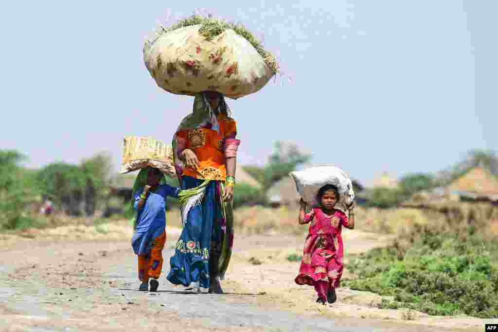 A woman along with her children carry hay to feed cattle in Sanjar Chang village, Mirpurkhas district in Sindh province, Pakistan.