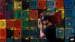 A worker carries a crate of avocados at a plant in Uruapan, Michoacan state, Mexico, Feb. 9, 2024.