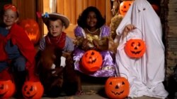 Tren Penjualan Halloween 2023: Dari "Boo Baskets" hingga Kostum Barbie