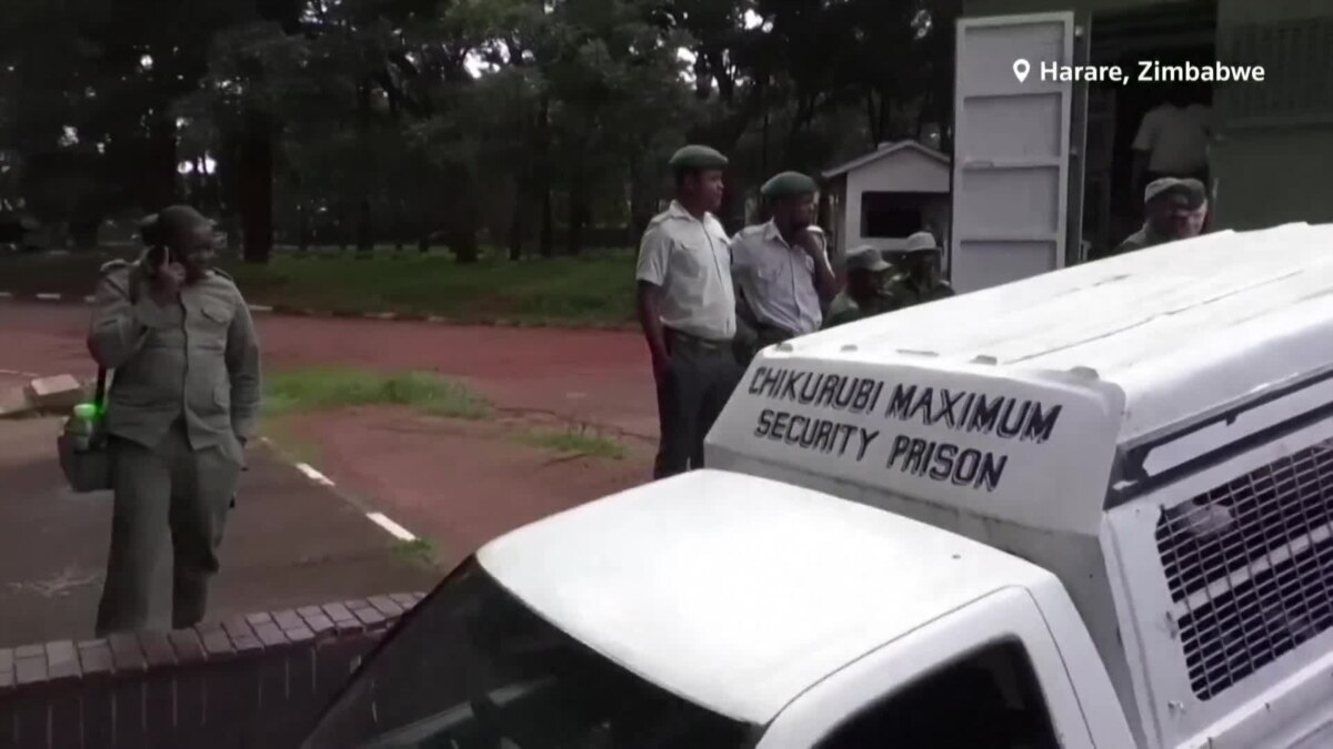 Zimbabwe Opposition Leader Freed from Pre-trial Detention