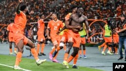 L'attaquant ivoirien #14 Oumar Diakite (C) enlève son maillot alors qu'il célèbre avec ses coéquipiers le deuxième but de son équipe lors du match de football des quarts de finale de la Coupe d'Afrique des Nations (CAN) 2024 (Photo Issouf SANOGO / AFP)