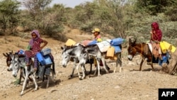(FILE) Children ride donkeys carrying jerrycans amid a water shortage and soaring temperatures, at a makeshift camp for people who fled fighting between Houthi rebels and Saudi-backed government forces, in Yemen on June 13, 2024.